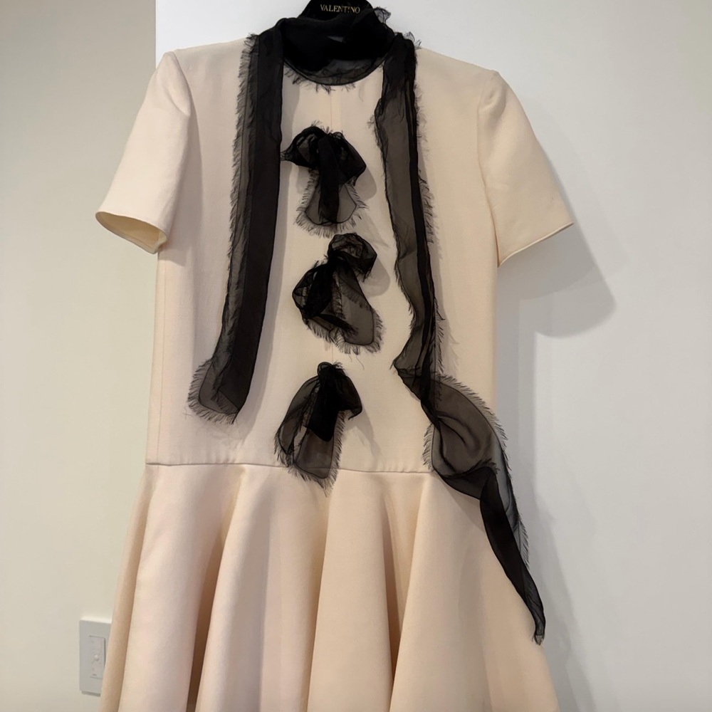 Elegant Cream and Black Womans dress